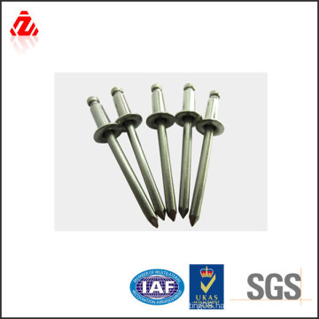 China factory flange head blind rivet